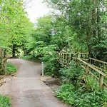 Alum House Littlebeck, Whitby - Roe Deer *