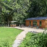 Alum House Littlebeck, Whitby - Roe Deer *