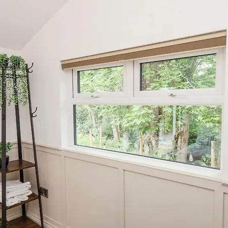 Alum House Littlebeck, Whitby - Roe Deer *