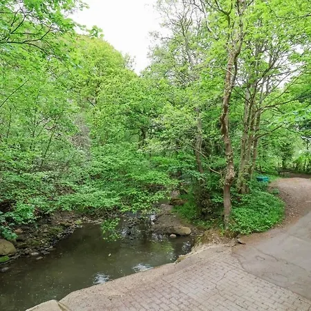 Alum House Littlebeck, Whitby - Roe Deer *