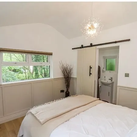 Alum House Littlebeck, Whitby - Roe Deer