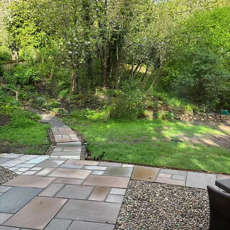 Alum House Littlebeck, Whitby - Roe Deer