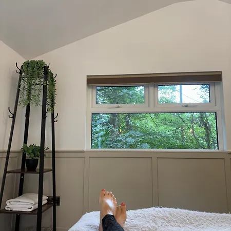 Alum House Littlebeck, Whitby - Roe Deer