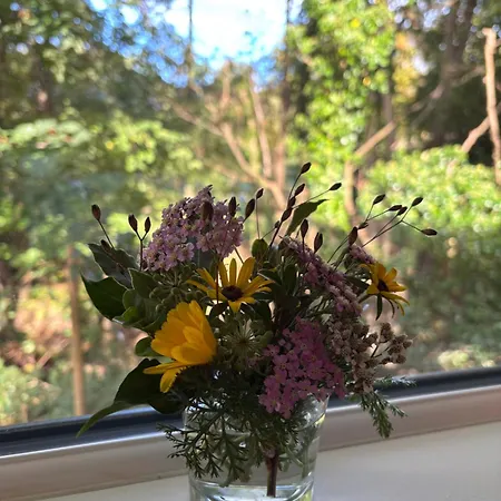 아파트 Alum House Littlebeck, Whitby - Roe Deer