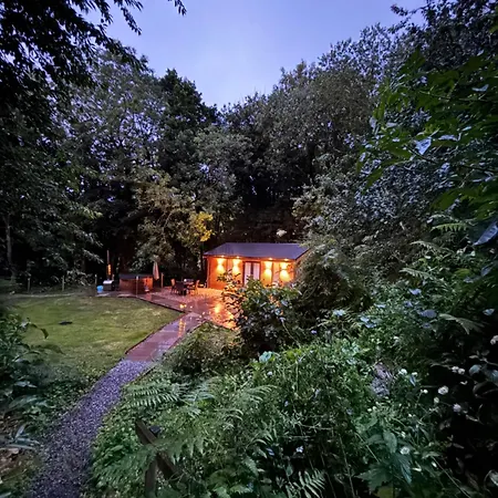 Alum House Littlebeck, Whitby - Roe Deer