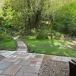 Alum House Littlebeck, Whitby - Roe Deer